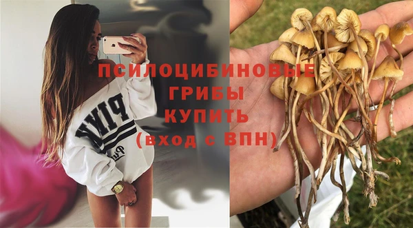 соль курить ск Бугульма