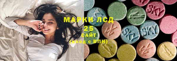 стаф Богданович