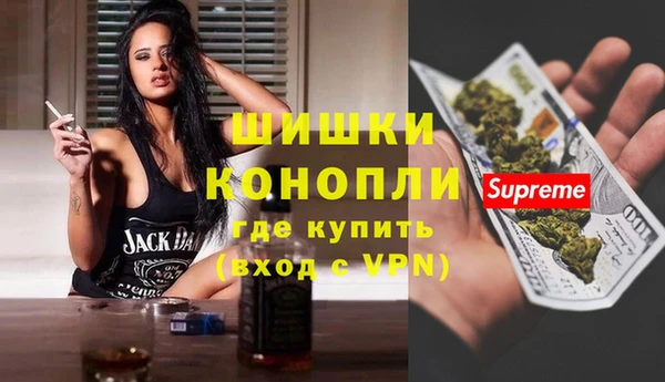 стаф Богданович