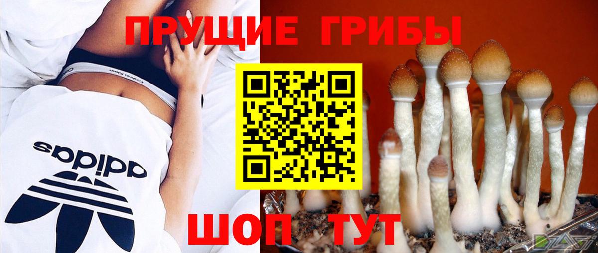 Галлюциногенные грибы Magic Shrooms Великий Устюг